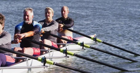 Four senior caucasian men and women rowing boat on a river - Powered by Adobe