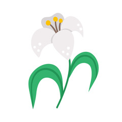 Vector white lily icon. Easter symbol flower illustration. Floral clip art. Cute flat spring plant isolated on white background..