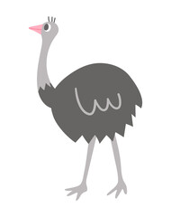 Vector ostrich icon isolated on white background. Cute African bird illustration for kids.