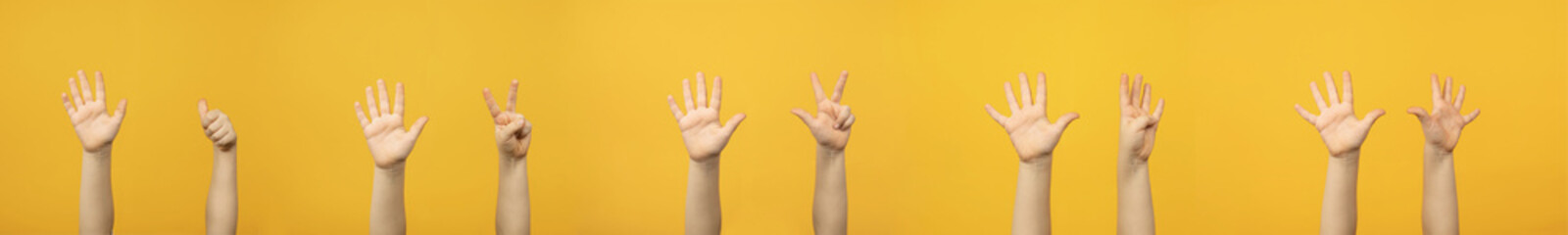 Child's raised up hands and fingers showing numbers from 6 to 10 isolated on yellow background.