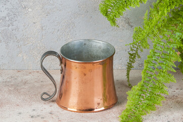Antique copper mug and green plant