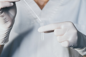 
A nurse wearing latex gloves holds the tube with serum and inserts and removes the swab with the...