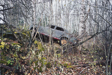 car in the woods