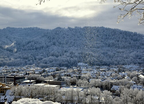 Freiburg Oberau und Wiehre im Winter