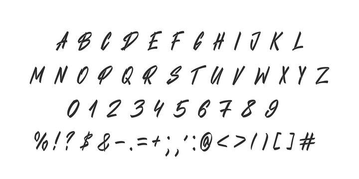 Vector font alphabet. Brush lettering typeface of hand drawn uppercase letters, numbers and punctuation