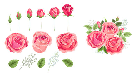 Pink roses bouquet and elements set for other bouquets constuctions. Vintage retro style vector drawings for invitations, greeting cards and other. Vector illustrations isolated on white background.