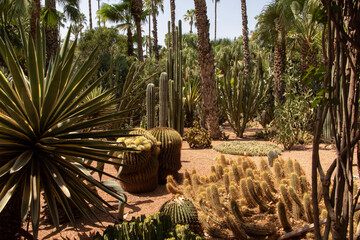Majorelle gardens in Marrakech, Morocco
