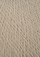 Wet sand with lines after the sea wave close