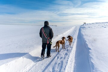 Man hikers with dog on trekking in winter landscape. Walk the dogs. Active lifestyle. Winter landscape in the Czech Republic.