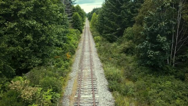 Drone flying over abandoned railway tracks through the trees looking forward along a very straight section.