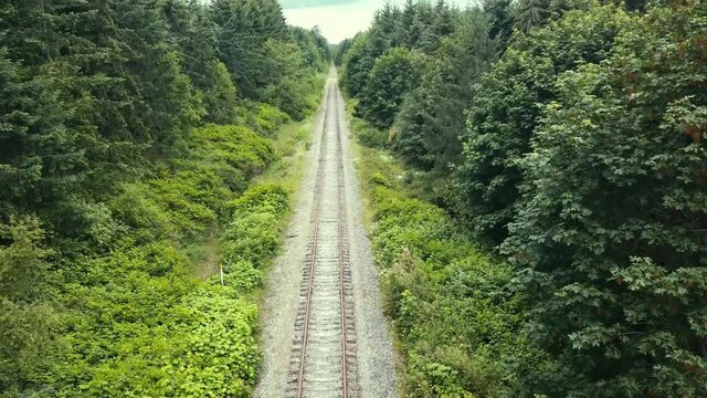 Drone view facing forward flying down railroad tracks and rising up between trees.