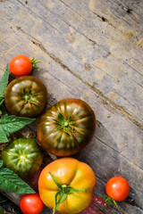 Fresh ripe and green tomatoes, different varieties just picked up on the plant. Food background