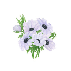 White anemone flower bouquet delicate watercolor floral illustration in vintage style, perfect for greeting card, banner, wedding invitation and accessories, Easter holiday, Mother's day decor