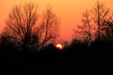 Orange sunset over trees. Twilight with bright sunset. Evening landscape