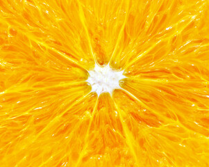 Photo macro background of orange texture of an orange