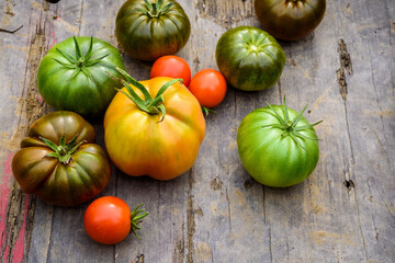 Fresh ripe and green tomatoes, different varieties just picked up on the plant. Food background