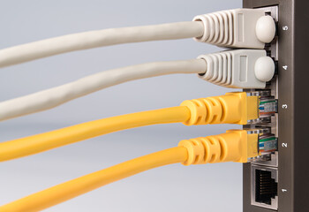 close-up of part of network equipment on white background with connected colored ethernet cables