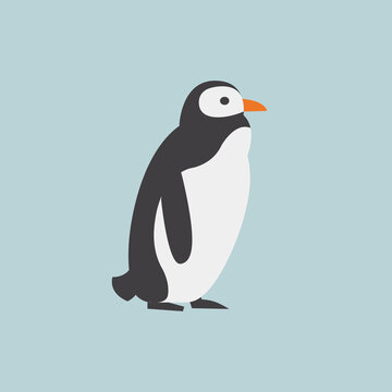 Penguin bird. Vector illustration.