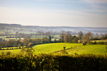 Obraz premium Green spring meadow in the morning in Normandy