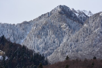 Snow dusted mountains