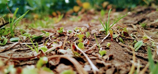 Planeta tierra y el ser humano