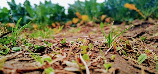 Planeta tierra y el ser humano