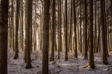 Naklejka premium Schneelandschaft