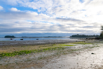 Brittany, Ile aux Moines island in the Morbihan gulf