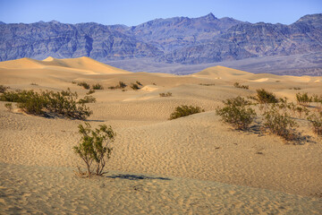 Mesquite Flat Sand Dunes Afternoon Landscapes, Death Valley National Park, California