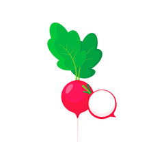 Radish icon in flat style. Isolated object, logo. Vegetable from the farm. Organic food. Vector illustration.