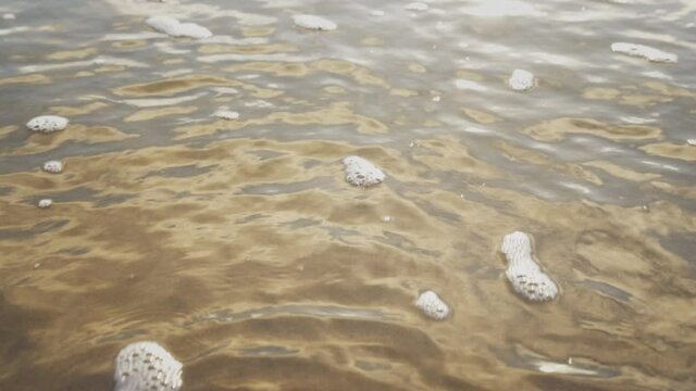 A piece of seaweed is flushed on the beach (4K).