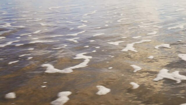 Sea weed flushed on the beach (4K, wide).
