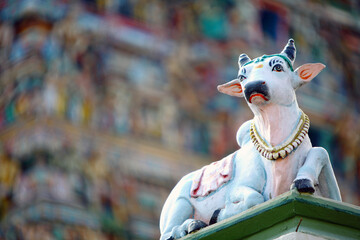 Detailed Carving of Kapaleeshwar Temple, Chennai, India