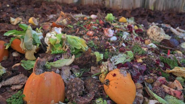 Pile Of Composting Natural Waste - close up, zoom out
