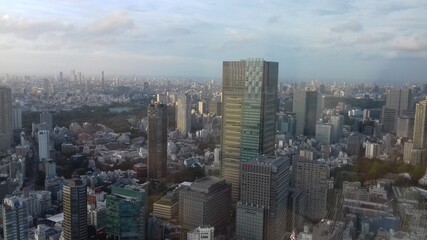 Obraz premium Tokyo Skyline
