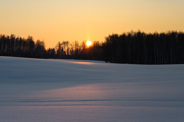 The path of the sun in the snow. Sunset in the snow. Cold winter evening at sunset. Frosted trees in the evening sun. Orange sky in the winter evening. Romantic sunset on a winter evening. Winter.