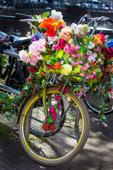 Fototapeta na wymiar Decorative bikes in Holland with basket full of flowers