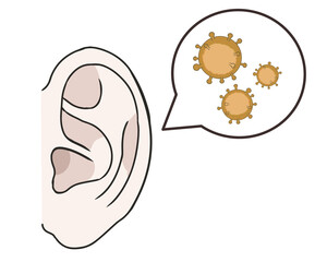 耳　細菌　白
