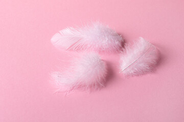 delicate pink background with fluffy white feathers. Romantic card with place for text

