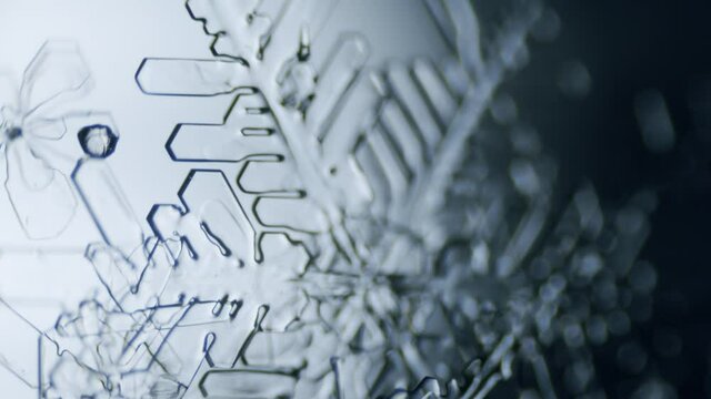 Snowflake ice crystal stellar dendrite under microscope