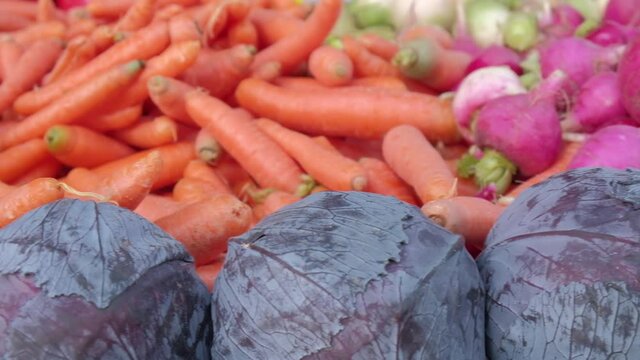 Red cabbages, carrots and radishes at village farmer market. Organic vegetables at country market