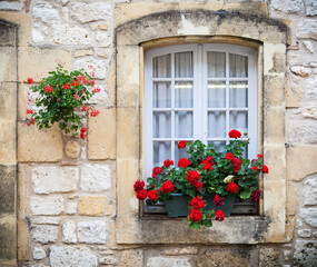 Fototapeta na wymiar Red geraniums fill window sill of tan brick window and wall in Monpazier