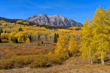 Autumn Mountain - Rugged East Beckwith Mountain surrounded by golden aspen grove and against clear blue sky, as seen from Kebler Pass on a sunny Autumn morning. Crested Butte, Colorado, USA.
