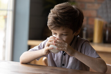 Cute small Caucasian boy child sit at table in kitchen enjoy diet wholegrain organic milk getting...