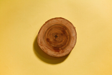 Wood texture of cutted tree trunk  isolated on yellow background