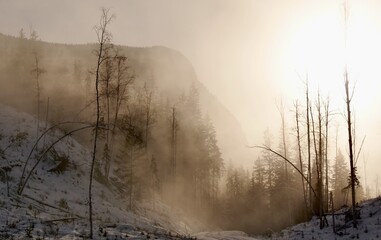 Snowy Road