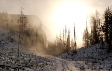 Snowy Back-road 