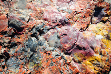 A close-up of a piece of petrified wood showcases its vibrant colors—deep reds, oranges, and earthy browns—while highlighting textures that resemble wood grain and mineral deposits.