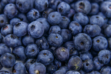 Background of the fresh blueberries