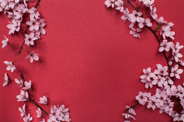 Cherry blossom tree branches on red paper background. Flat lay with spring elements and copy space